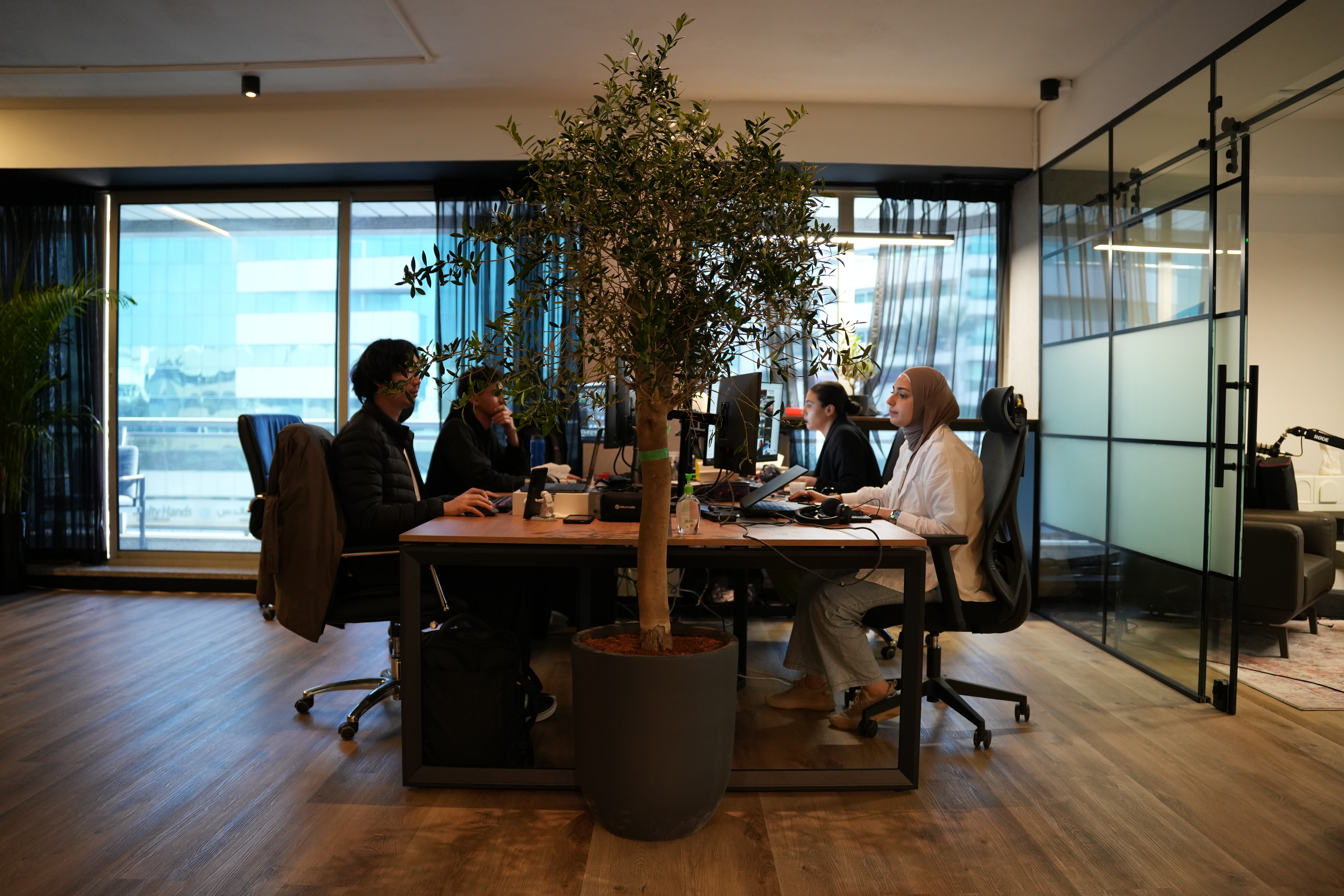 AIIMS Group Dubai Office - The Olive Tree Creative Pod
